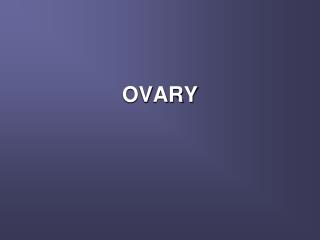OVARY