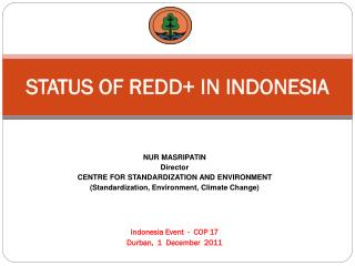 STATUS OF REDD+ IN INDONESIA