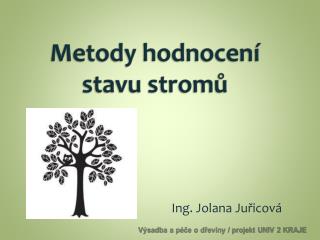 Metody hodnocení stavu stromů