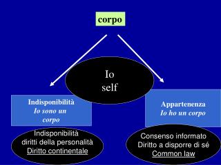 corpo