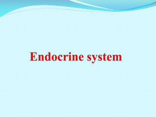 Endocrine system