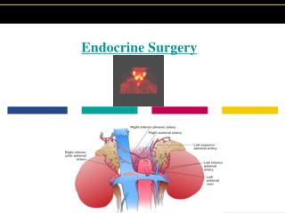 Endocrine Surgery