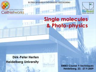 Single molecules &amp; Photo-physics