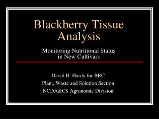 Blackberry Tissue Analysis Monitoring Nutritional Status in New Cultivars