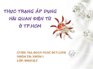 THỰC TRẠNG ÁP DỤNG HẢI QUAN ĐiỆN TỬ Ở TP.HCM