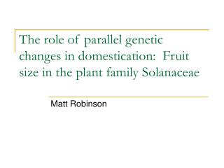 The role of parallel genetic changes in domestication: Fruit size in the plant family Solanaceae