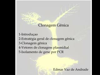 Clonagem Gênica 1-Introduçao 2- Estratégia geral de clonagem gênica 3-Clonagem gênica