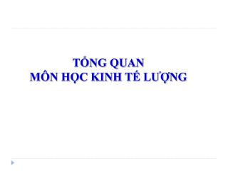 TỔNG QUAN MÔN HỌC KINH TẾ LƯỢNG