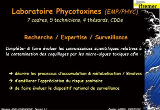 décrire les p rocessus d’accumulation &amp; métabolisation / Bivalves