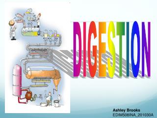 DIGESTION