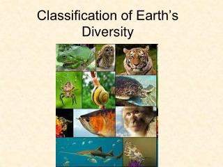 Classification of Earth’s Diversity