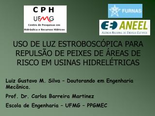 USO DE LUZ ESTROBOSCÓPICA PARA REPULSÃO DE PEIXES DE ÁREAS DE RISCO EM USINAS HIDRELÉTRICAS