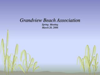 Grandview Beach Association Spring Meeting March 20, 2006
