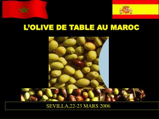 L’OLIVE DE TABLE AU MAROC