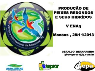 . PRODUÇÃO DE PEIXES REDONDOS E SEUS HIBRÍDOS V ENAq Manaus , 28/11/2013 GERALDO BERNARDINO