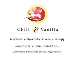 A diplomata folyosótól a diplomata pudingig avagy, Te jó Ég, személyes márka lettem…