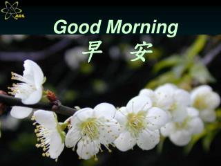 Good Morning 早 安