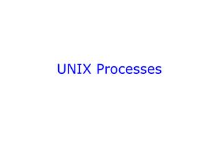 UNIX Processes