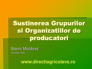Sustinerea Grupurilor si Organizatiilor de producatori