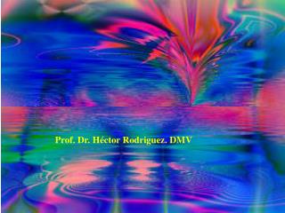 Prof. Dr. Héctor Rodriguez. DMV