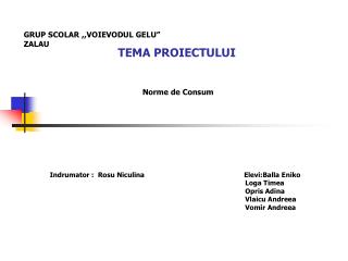 TEMA PROIECTULUI Norme de Consum