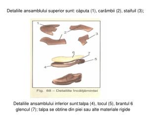 Detaliile ansamblului superior sunt: càputa (1), carâmbii (2), staifuil (3);