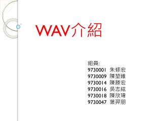 WAV 介紹