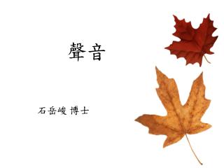 石岳峻 博士