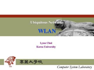 Ubiquitous Networks WLAN