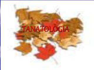 TANATOLOGIA