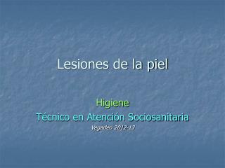 Lesiones de la piel