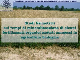 Centro Interdipartimentale di Ricerche Agro-Ambientali “Enrico Avanzi” - CIRAA