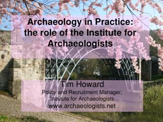 Archaeology in Practice: the role of the Institute for Archaeologists