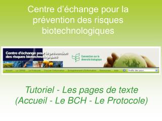 Tutoriel - Les pages de texte (Accueil - Le BCH - Le Protocole)