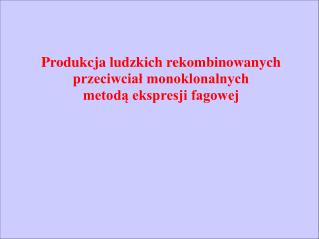 Produkcja ludzkich rekombinowanych przeciwciał monoklonalnych metodą ekspresji fagowej