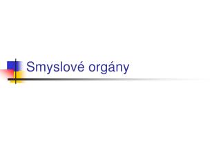 Smyslové orgány