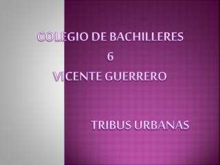 TRIBUS URBANAS