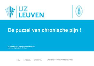 De puzzel van chronische pijn !