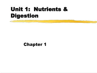 Unit 1: Nutrients & Digestion