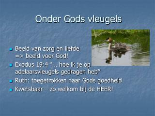 Onder Gods vleugels