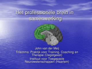 Het professionele brein in 	 		 samenwerking