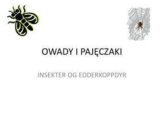 OWADY I PAJĘCZAKI