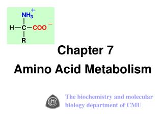 Chapter 7 Amino Acid Metabolism