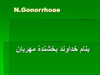 N.Gonorrhoae