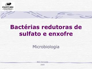 Bactérias redutoras de sulfato e enxofre