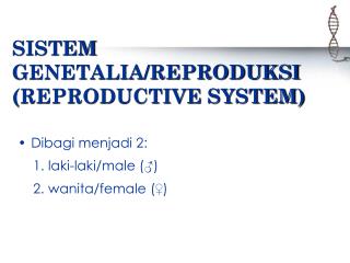 SISTEM GENETALIA/REPRODUKSI (REPRODUCTIVE SYSTEM)