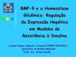 Luciana Chagas Caperuto / Processo FAPESP 04/01186-1 Laboratório de Biologia Molecular