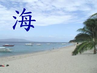 海水的味道？