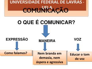 UNIVERSIDADE FEDERAL DE LAVRAS - UFLA