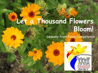 Let a Thousand Flowers Bloom!